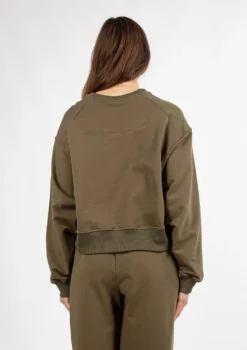 Bluza DK-K-B23
