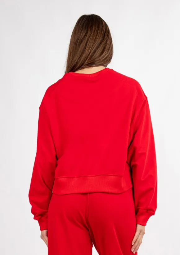 Bluza DK-K-B23